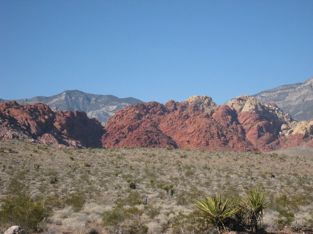 Las Vegas 2010 - Red Rock 0021.JPG - The 2010 Las Vegas Fire - Ice and Sweat Tour. Half Marathon, Red Rock Canyon, Casinos, Valley of Fire.... and buffets!